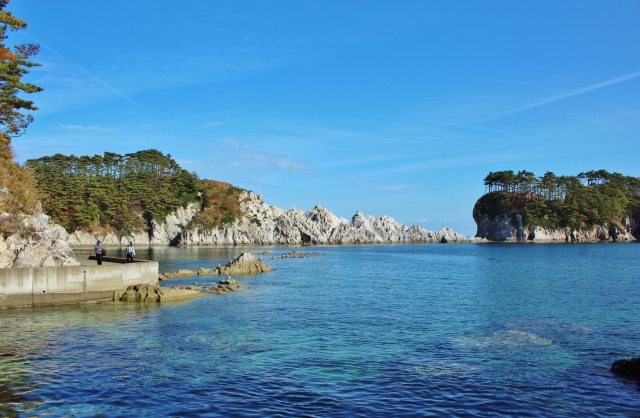 ブランドまぐろ“ひがしもの”